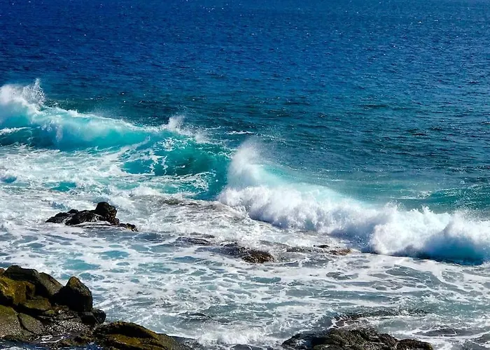 Willa Blackrock Blancas